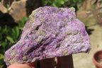 Natural Stichtite Cobbed Specimens x 6 From Barberton, South Africa - Toprock Gemstones and Minerals 