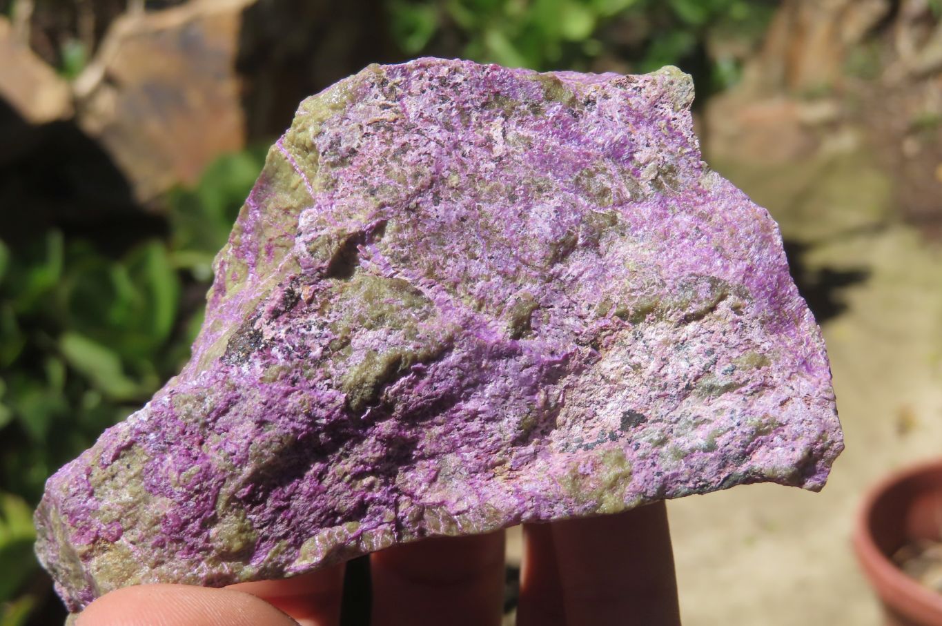 Natural Stichtite Cobbed Specimens x 6 From Barberton, South Africa - Toprock Gemstones and Minerals 