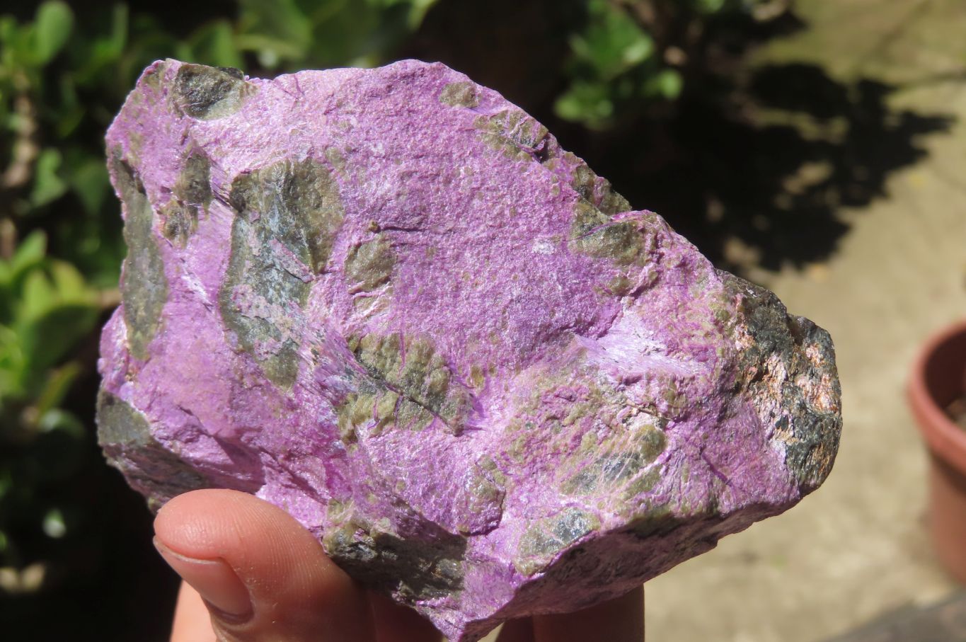 Natural Stichtite Cobbed Specimens x 6 From Barberton, South Africa - Toprock Gemstones and Minerals 