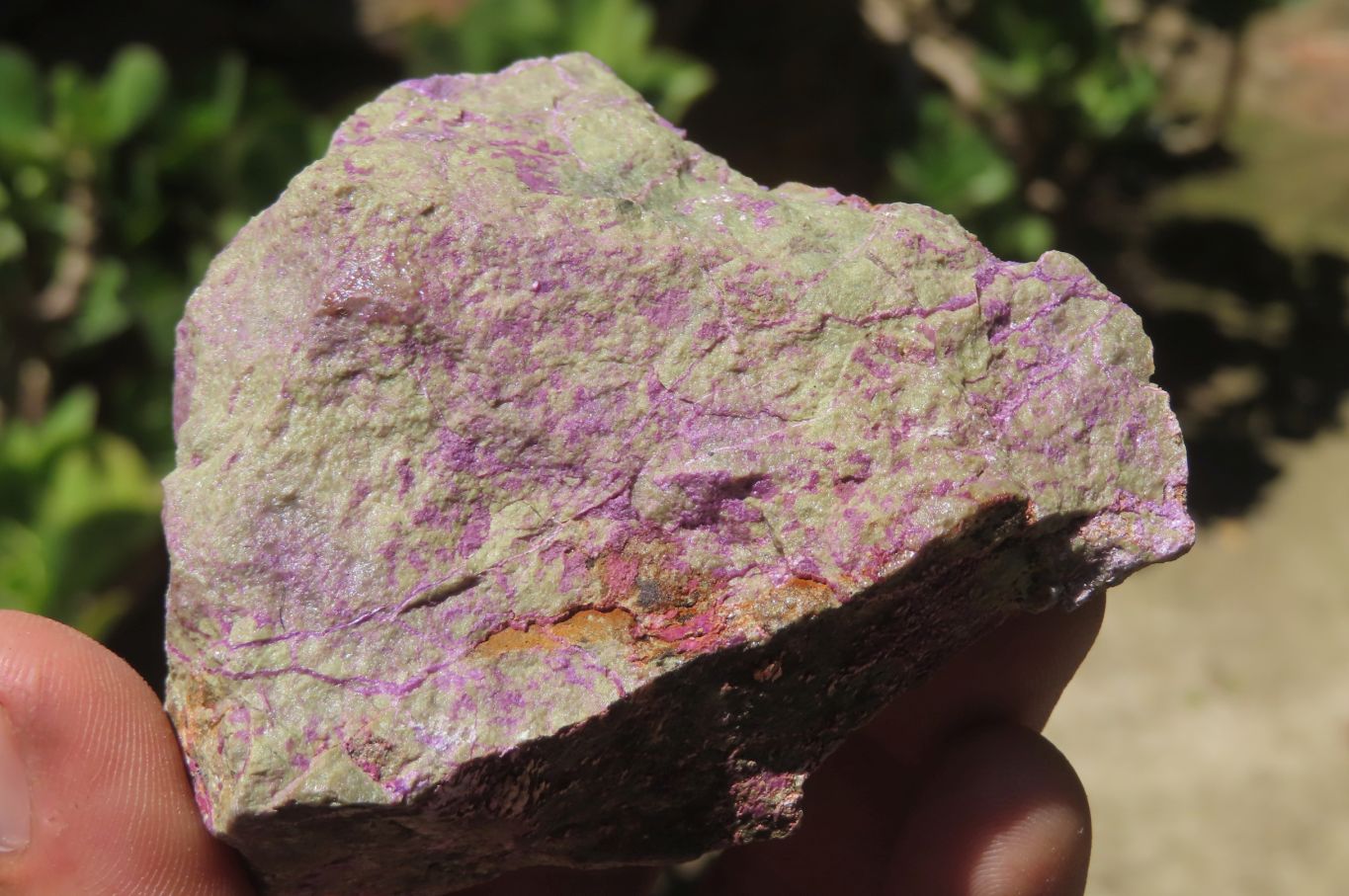 Natural Stichtite Cobbed Specimens x 6 From Barberton, South Africa - Toprock Gemstones and Minerals 