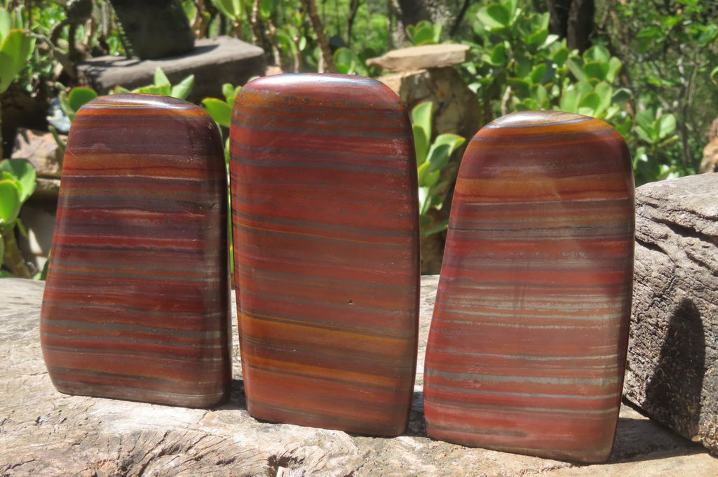 Polished Tiger Iron Jasper Standing Free Forms x 3 From South Africa - Toprock Gemstones and Minerals 