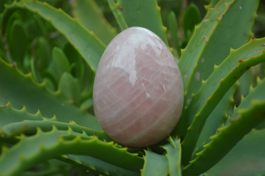 Polished Rose Quartz Eggs - Sold Per Item - From Namibia - Toprock Gemstones and Minerals 