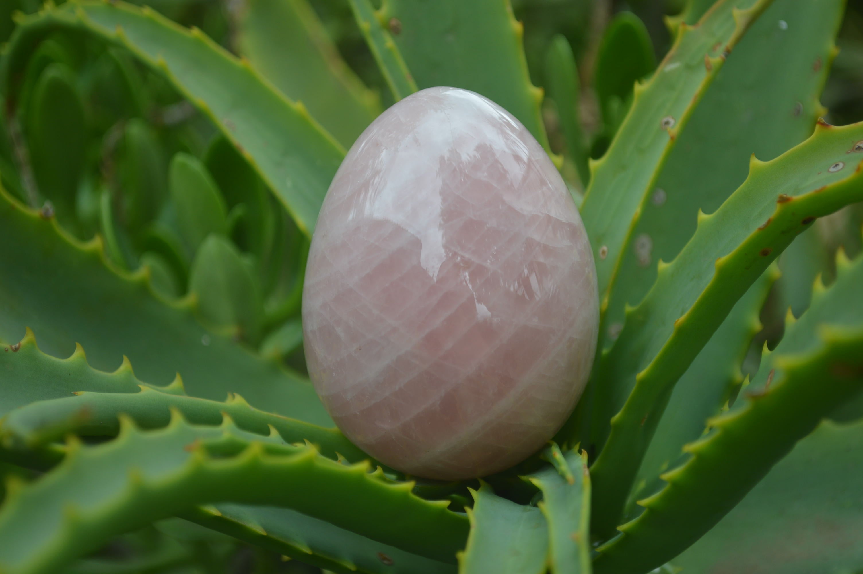 Polished Rose Quartz Eggs - Sold Per Item - From Namibia - Toprock Gemstones and Minerals 