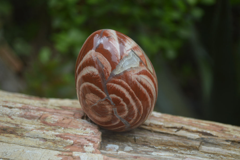 Polished Brecciated Red Jasper Eggs - Sold Per Item - From Northern Cape South Africa - Toprock Gemstones and Minerals 
