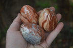 Polished Brecciated Red Jasper Eggs - Sold Per Item - From Northern Cape South Africa - Toprock Gemstones and Minerals 