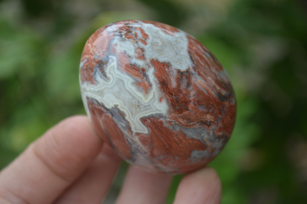 Polished Brecciated Red Jasper Eggs - Sold Per Item - From Northern Cape South Africa - Toprock Gemstones and Minerals 