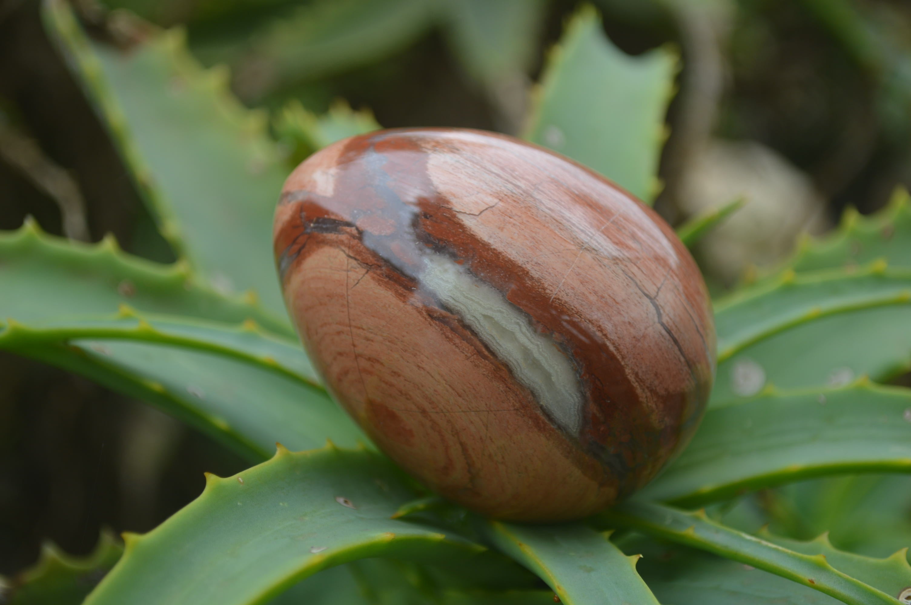 Polished Brecciated Red Jasper Eggs - Sold Per Item - From Northern Cape South Africa - Toprock Gemstones and Minerals 