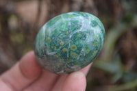 Polished Small Buddstone Eggs - Sold Per Item - From Swaziland - Toprock Gemstones and Minerals 