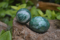 Polished Small Buddstone Eggs - Sold Per Item - From Swaziland - Toprock Gemstones and Minerals 