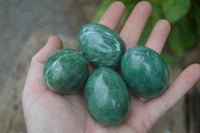 Polished Small Buddstone Eggs - Sold Per Item - From Swaziland - Toprock Gemstones and Minerals 