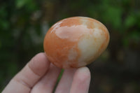 Polished Orange Quartz Gemstone Eggs - Sold Per Item - From Zimbabwe - Toprock Gemstones and Minerals 
