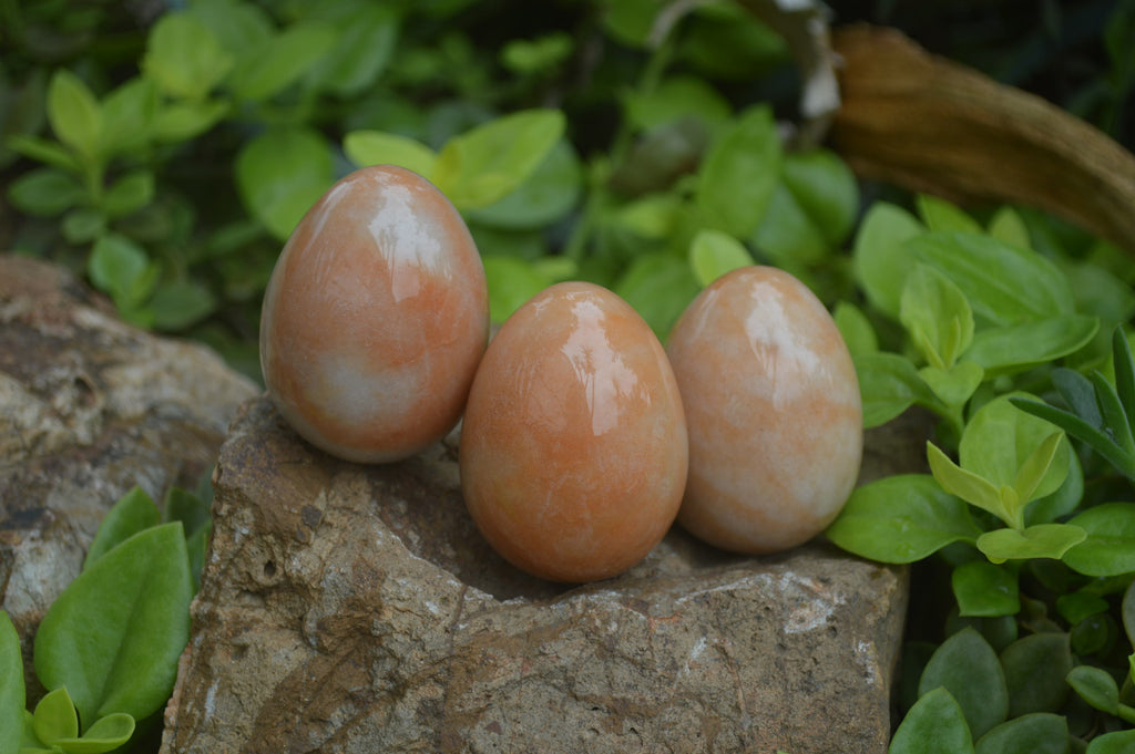 Polished Orange Quartz Gemstone Eggs - Sold Per Item - From Zimbabwe - Toprock Gemstones and Minerals 