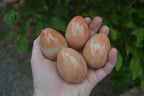 Polished Orange Quartz Gemstone Eggs - Sold Per Item - From Zimbabwe - Toprock Gemstones and Minerals 