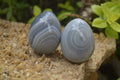 Polished Large Banded Agate Eggs - Sold Per Item - From Madagascar - Toprock Gemstones and Minerals 