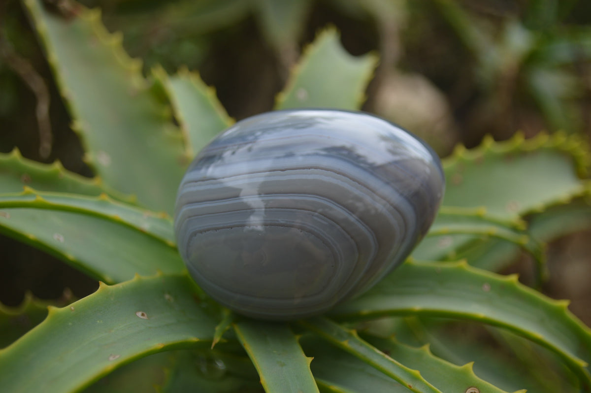 Polished Large Banded Agate Eggs - Sold Per Item - From Madagascar - Toprock Gemstones and Minerals 