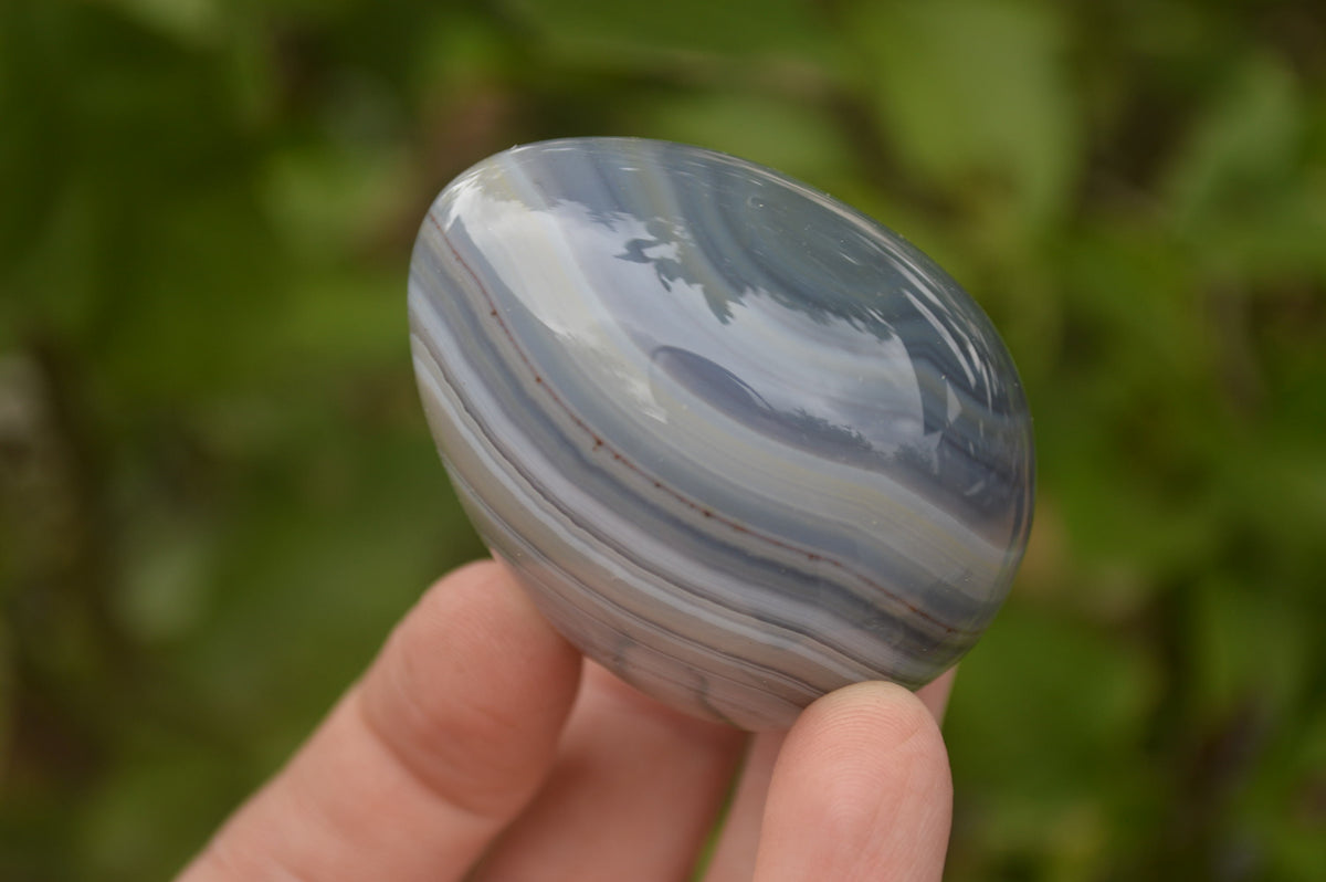 Polished Large Banded Agate Eggs - Sold Per Item - From Madagascar - Toprock Gemstones and Minerals 