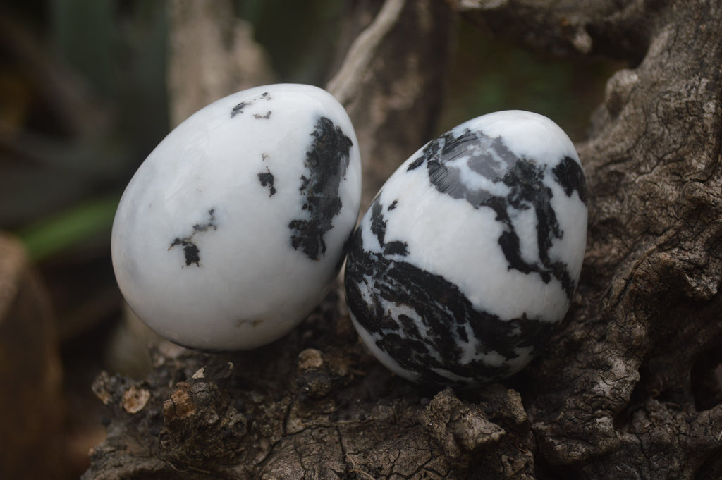 Polished Zebra Marble Eggs - Sold Per Item - From Australia - Toprock Gemstones and Minerals 