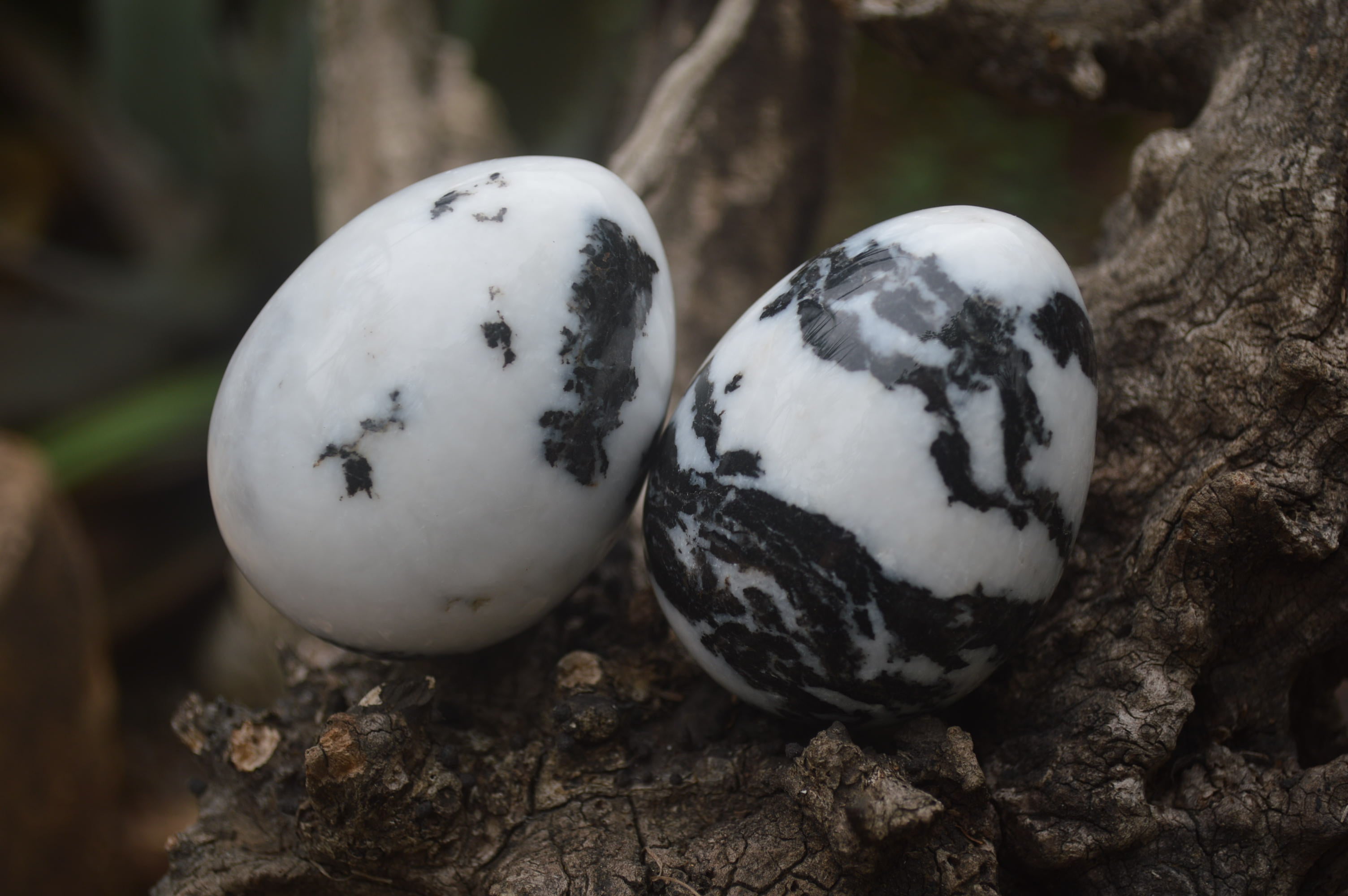 Polished Zebra Marble Eggs - Sold Per Item - From Australia - Toprock Gemstones and Minerals 