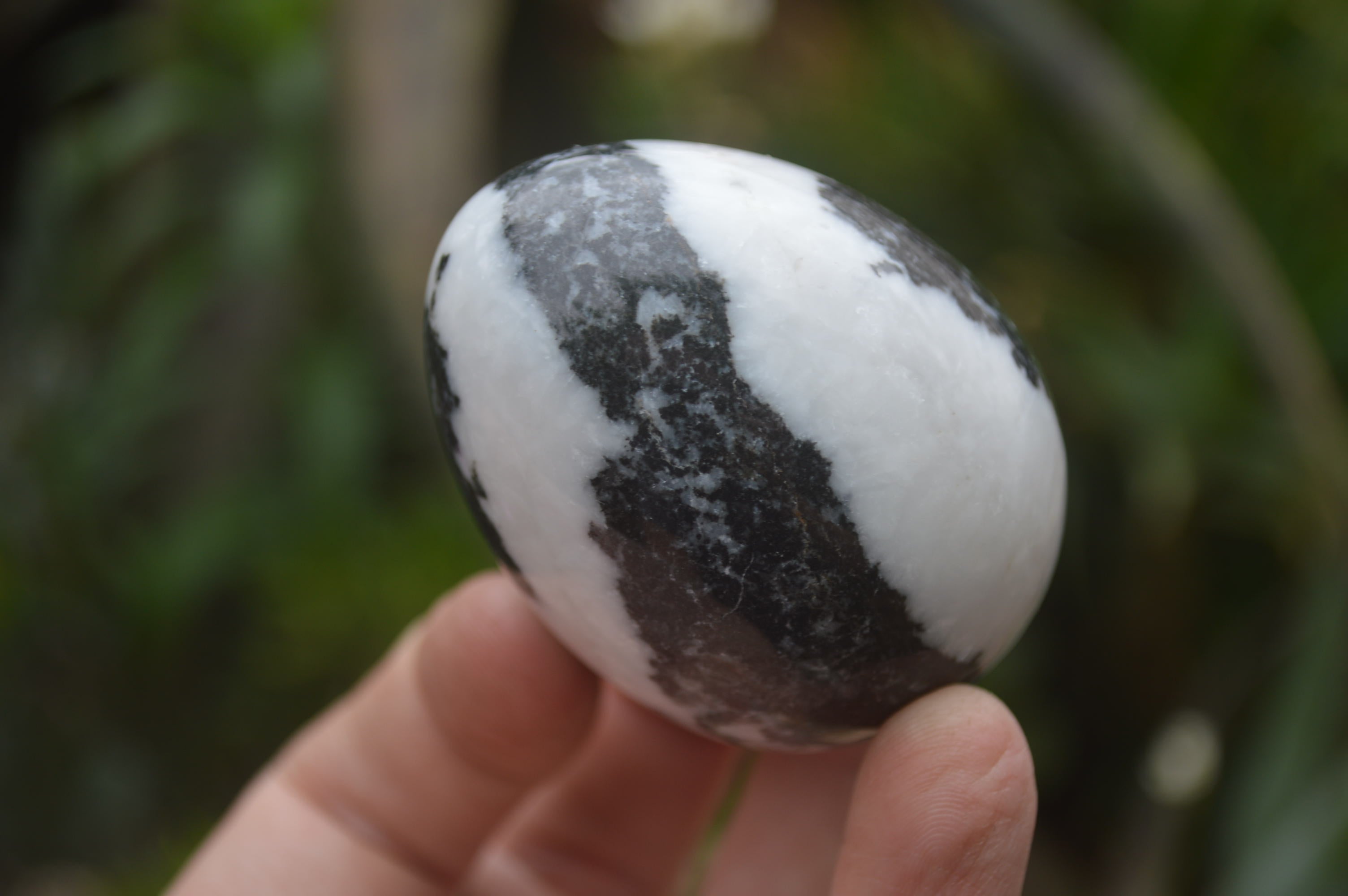 Polished Zebra Marble Eggs - Sold Per Item - From Australia - Toprock Gemstones and Minerals 