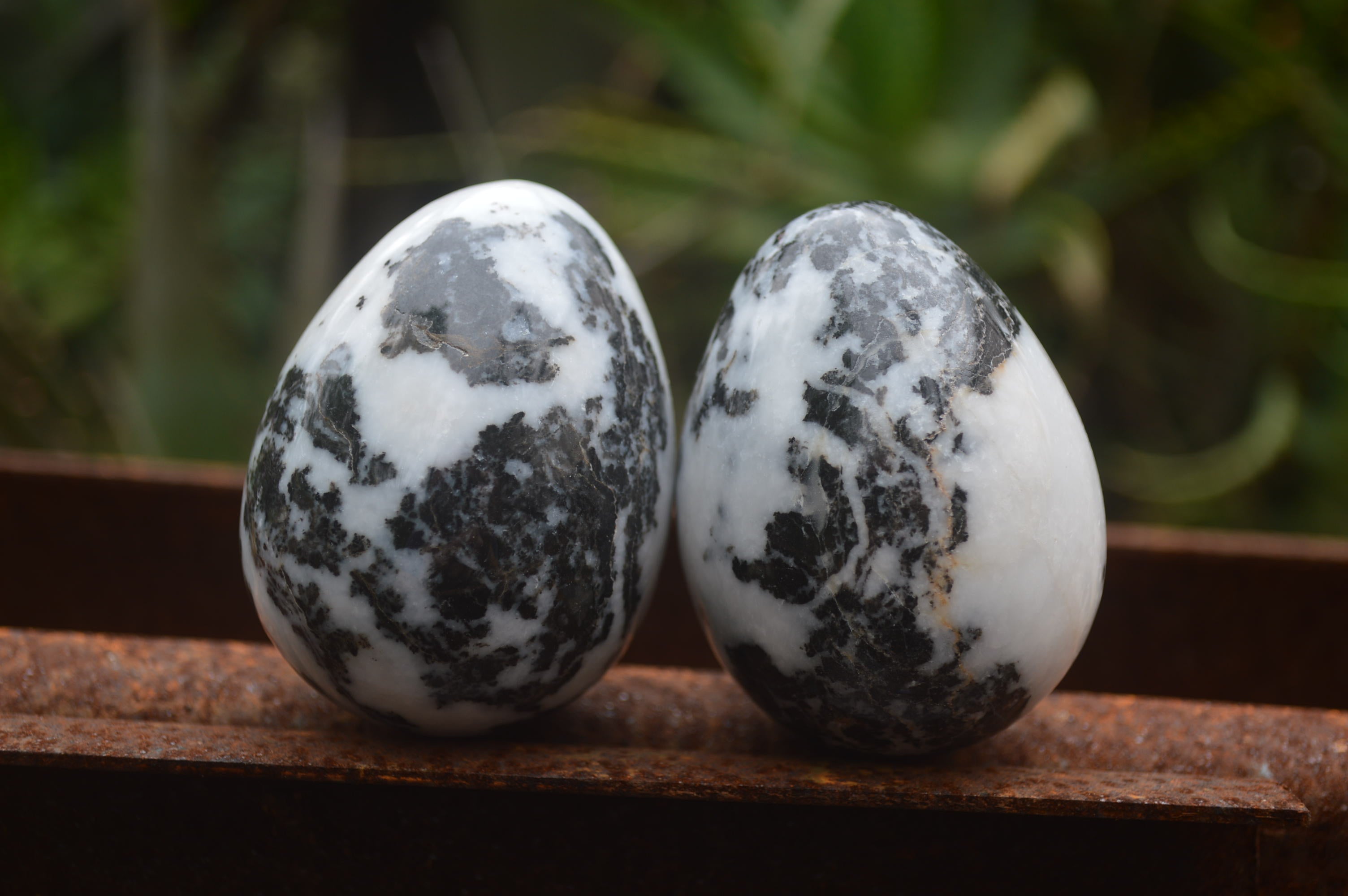 Polished Zebra Marble Eggs - Sold Per Item - From Australia - Toprock Gemstones and Minerals 