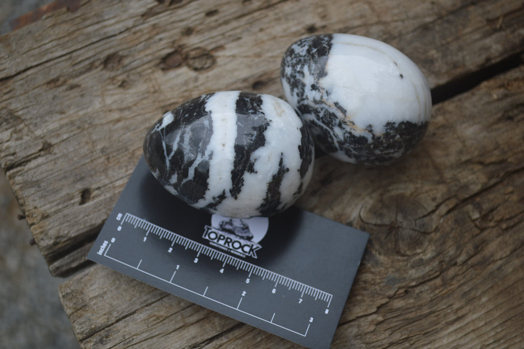 Polished Zebra Marble Eggs - Sold Per Item - From Australia - Toprock Gemstones and Minerals 