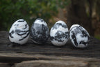 Polished Zebra Marble Eggs - Sold Per Item - From Australia - Toprock Gemstones and Minerals 