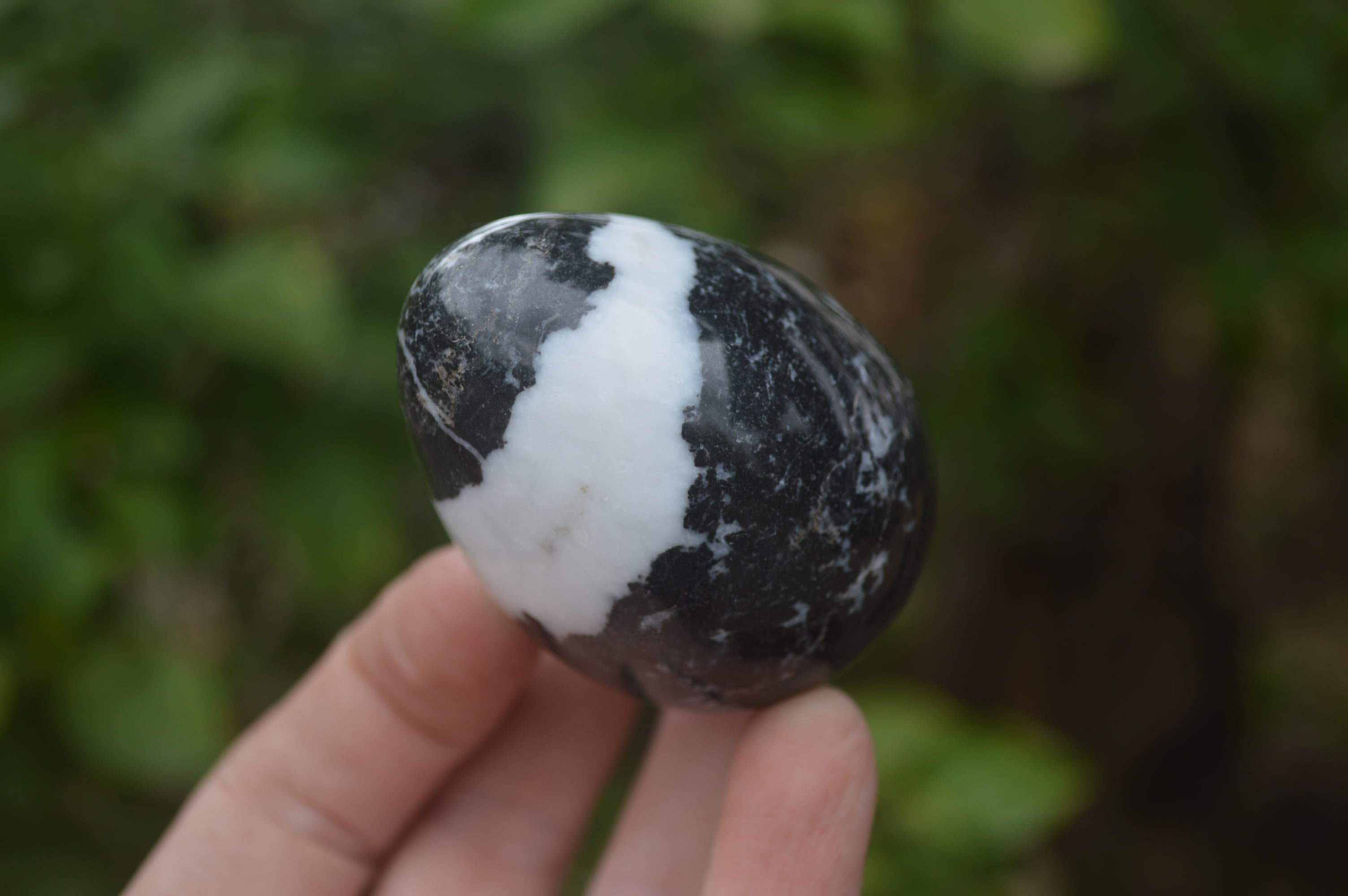Polished Zebra Marble Eggs - Sold Per Item - From Australia - Toprock Gemstones and Minerals 