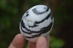 Polished Zebra Marble Eggs - Sold Per Item - From Australia - Toprock Gemstones and Minerals 