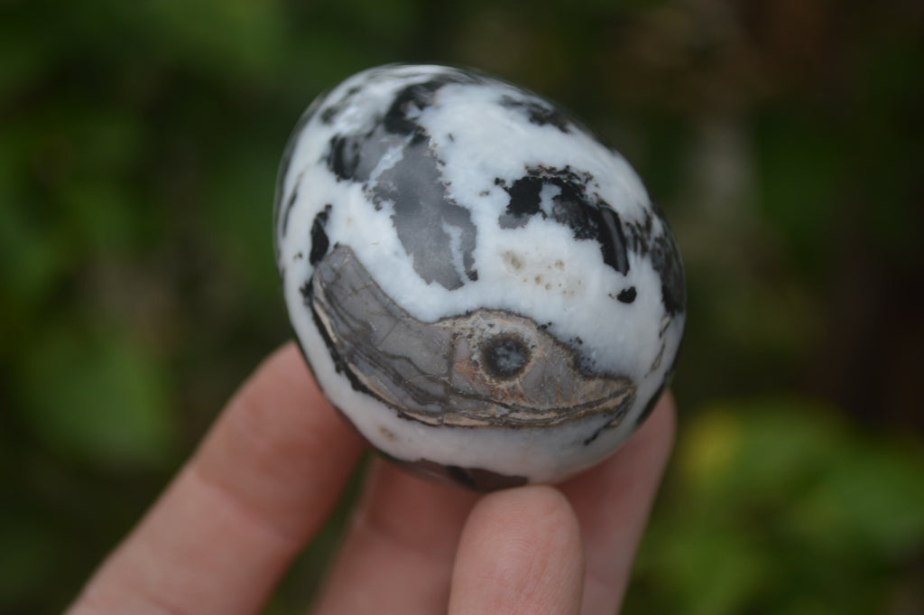 Polished Zebra Marble Eggs - Sold Per Item - From Australia - Toprock Gemstones and Minerals 
