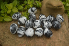 Polished Zebra Marble Eggs - Sold Per Item - From Australia - Toprock Gemstones and Minerals 