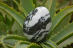 Polished Zebra Marble Eggs - Sold Per Item - From Australia - Toprock Gemstones and Minerals 