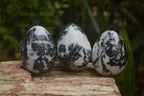 Polished Zebra Marble Eggs - Sold Per Item - From Australia - Toprock Gemstones and Minerals 