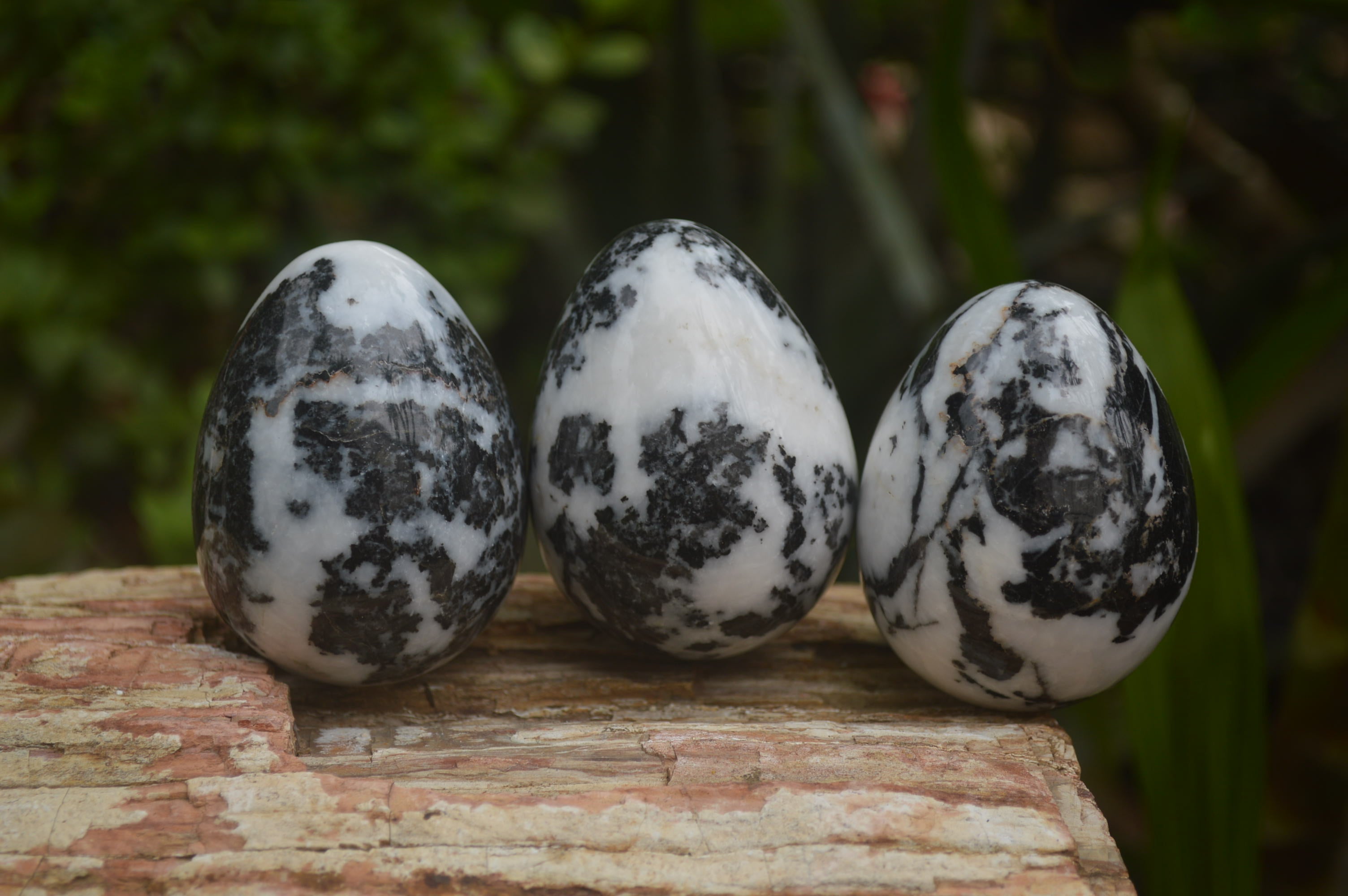 Polished Zebra Marble Eggs - Sold Per Item - From Australia - Toprock Gemstones and Minerals 