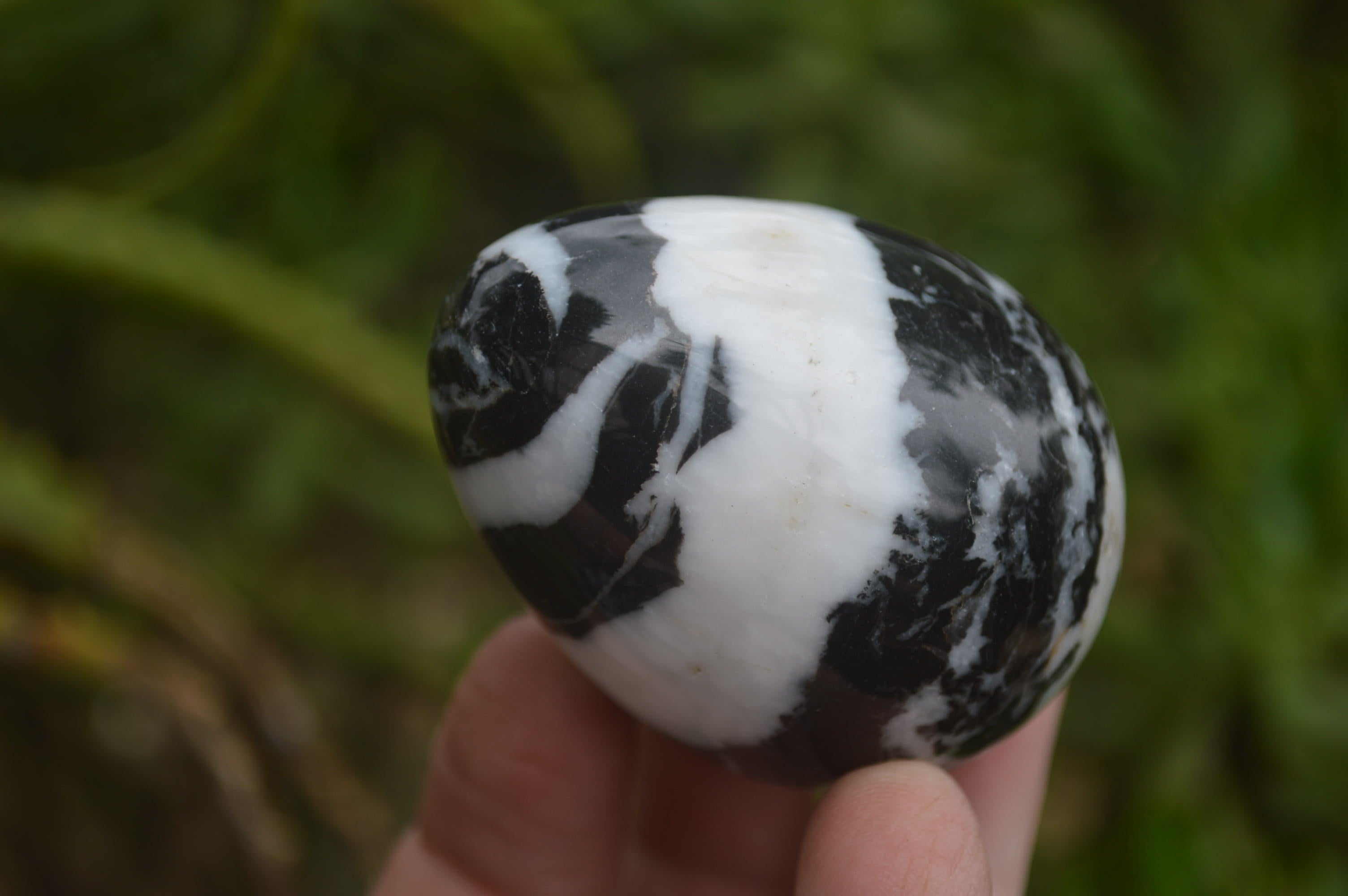 Polished Zebra Marble Eggs - Sold Per Item - From Australia - Toprock Gemstones and Minerals 