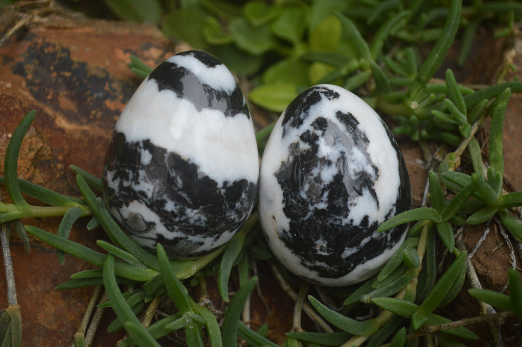 Polished Zebra Marble Eggs - Sold Per Item - From Australia - Toprock Gemstones and Minerals 