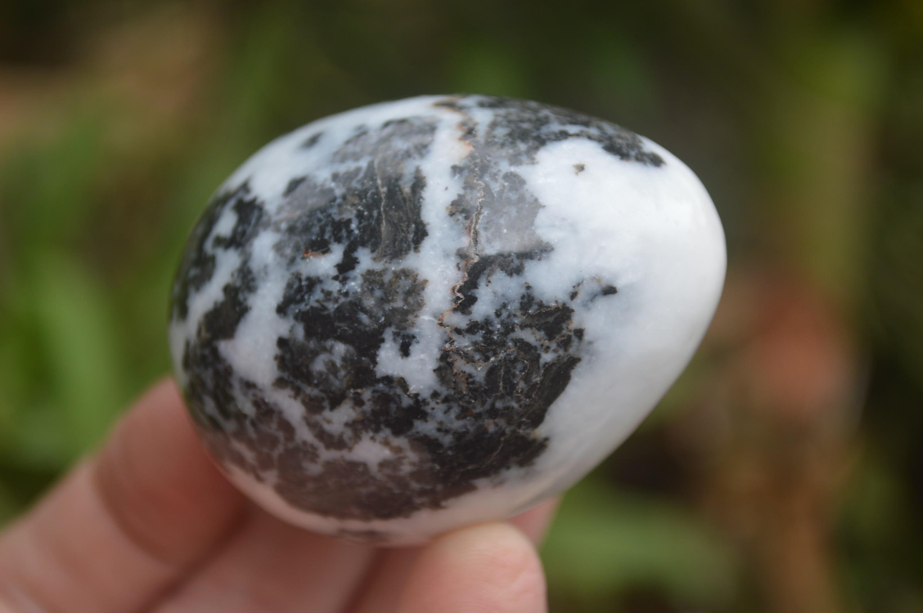 Polished Zebra Marble Eggs - Sold Per Item - From Australia - Toprock Gemstones and Minerals 