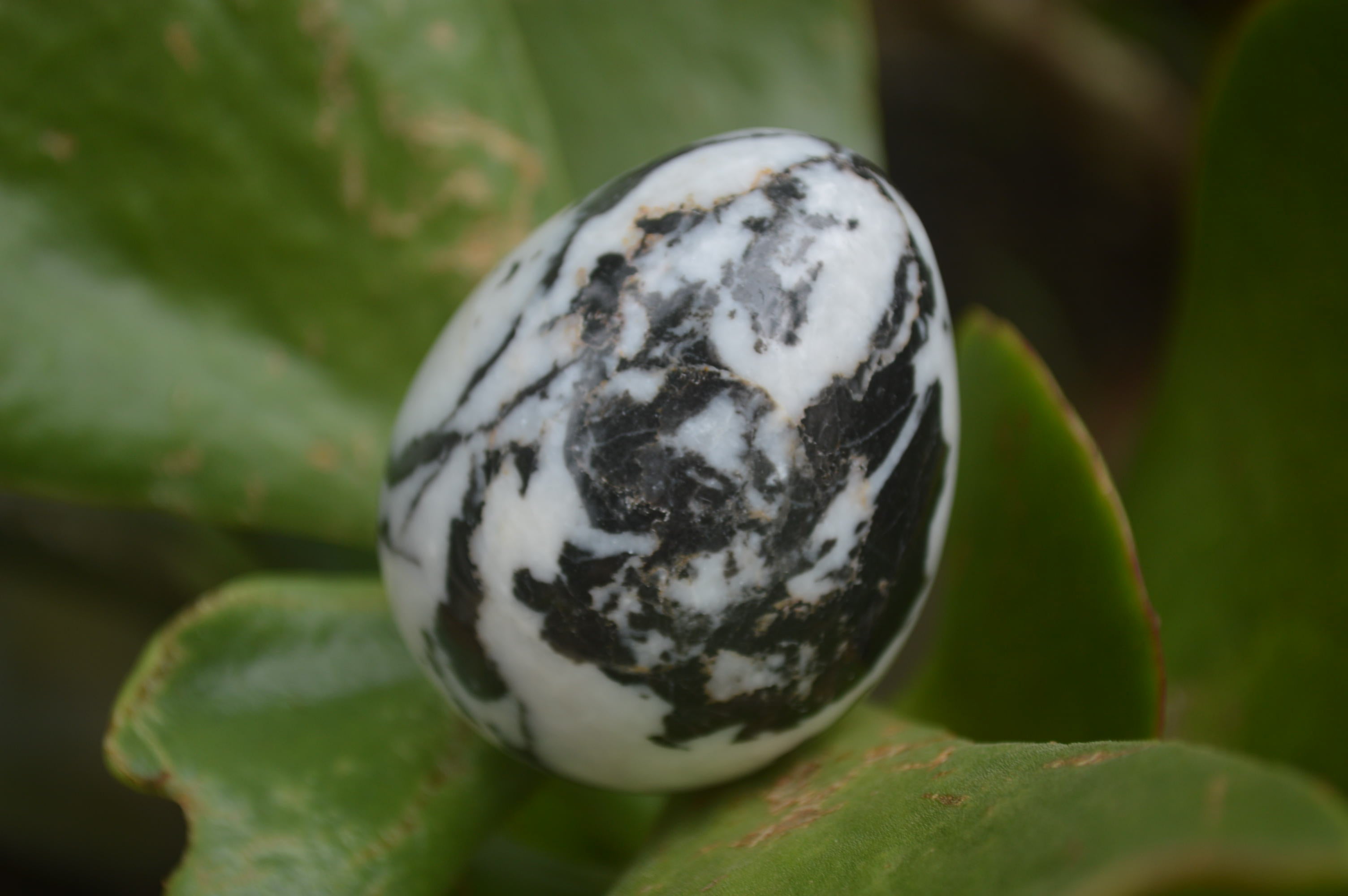 Polished Zebra Marble Eggs - Sold Per Item - From Australia - Toprock Gemstones and Minerals 