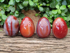 Polished Red Agate Gemstone Eggs - Sold Per Item - From Brazil - Toprock Gemstones and Minerals 