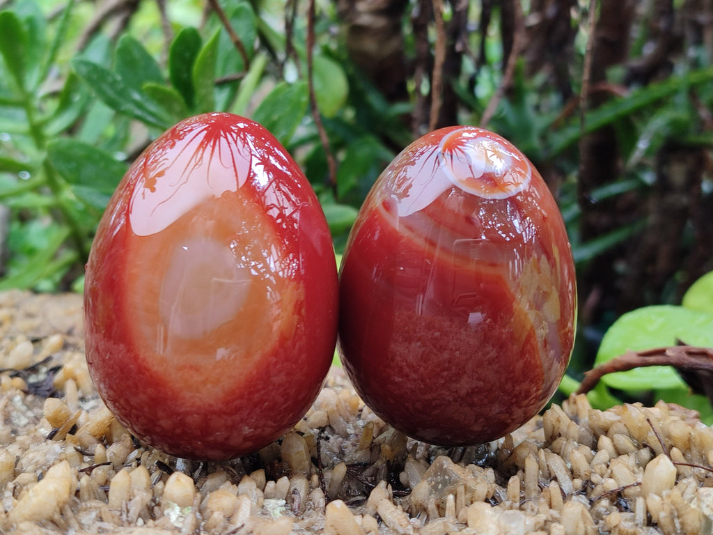 Polished Red Agate Gemstone Eggs - Sold Per Item - From Brazil - Toprock Gemstones and Minerals 