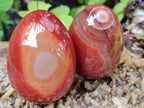 Polished Red Agate Gemstone Eggs - Sold Per Item - From Brazil - Toprock Gemstones and Minerals 