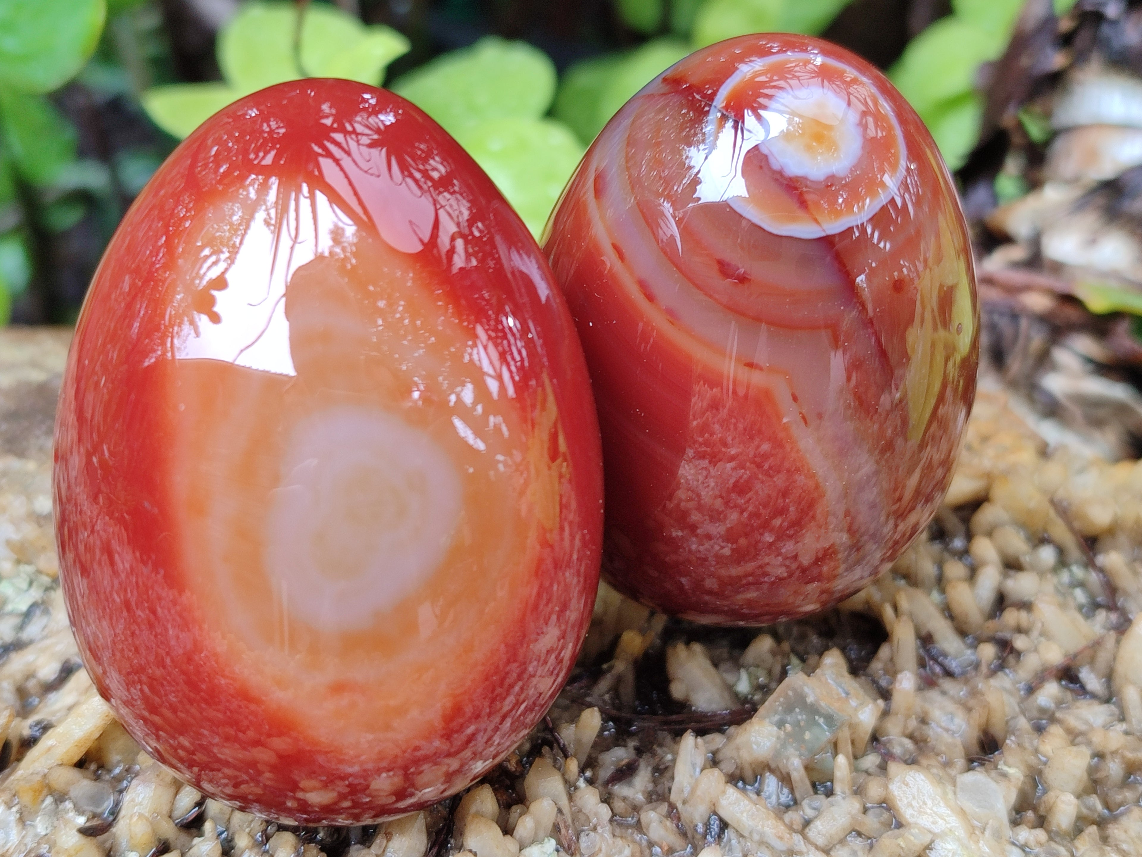 Polished Red Agate Gemstone Eggs - Sold Per Item - From Brazil - Toprock Gemstones and Minerals 