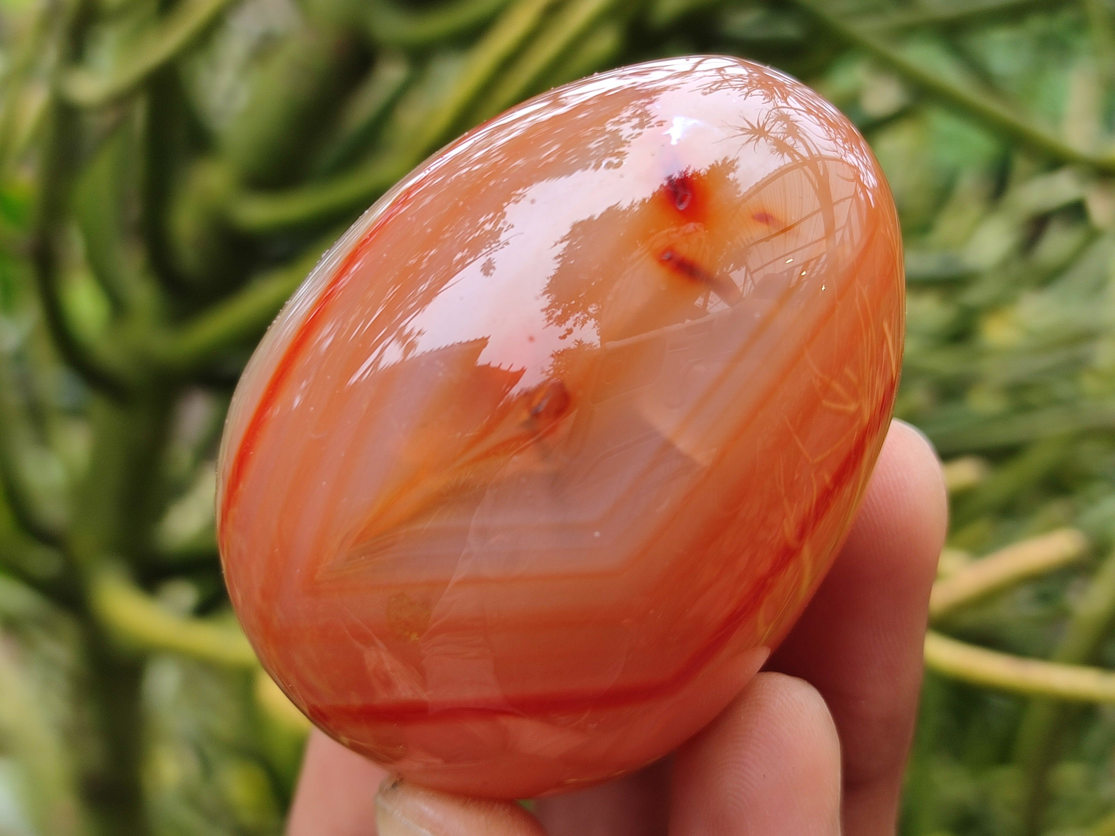 Polished Red Agate Gemstone Eggs - Sold Per Item - From Brazil - Toprock Gemstones and Minerals 