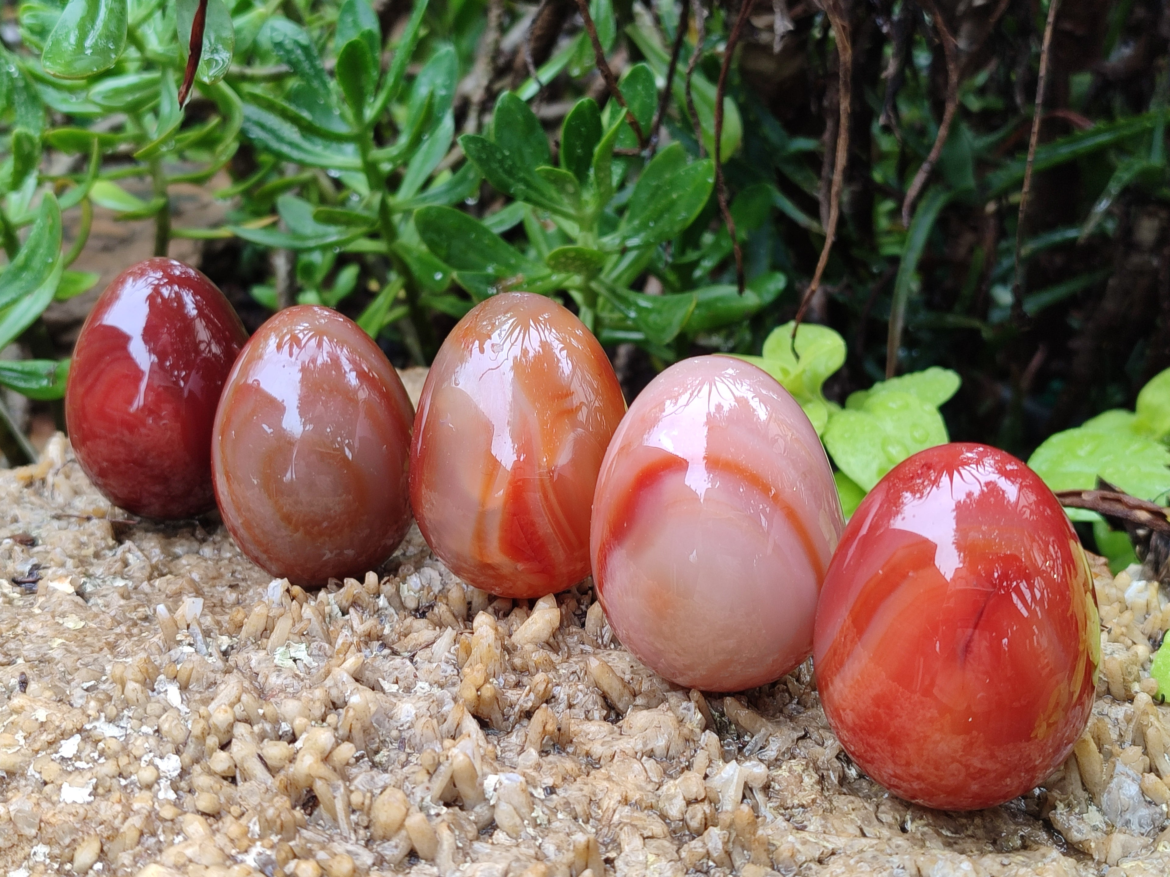 Polished Red Agate Gemstone Eggs - Sold Per Item - From Brazil - Toprock Gemstones and Minerals 