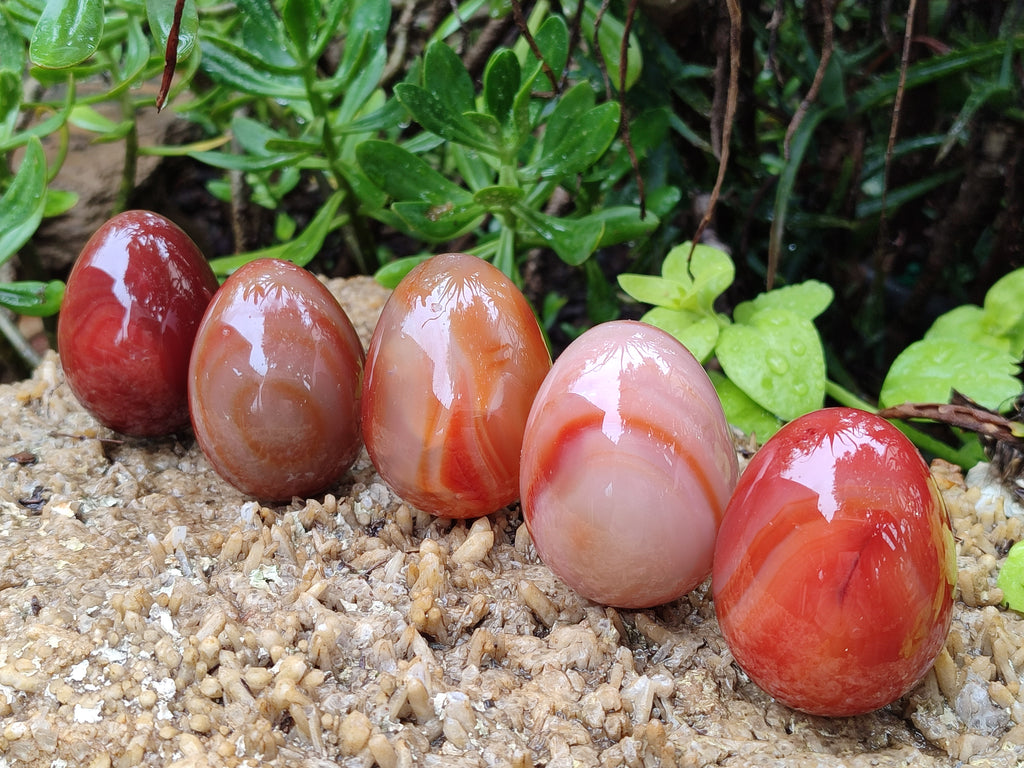 Polished Red Agate Gemstone Eggs - Sold Per Item - From Brazil - Toprock Gemstones and Minerals 