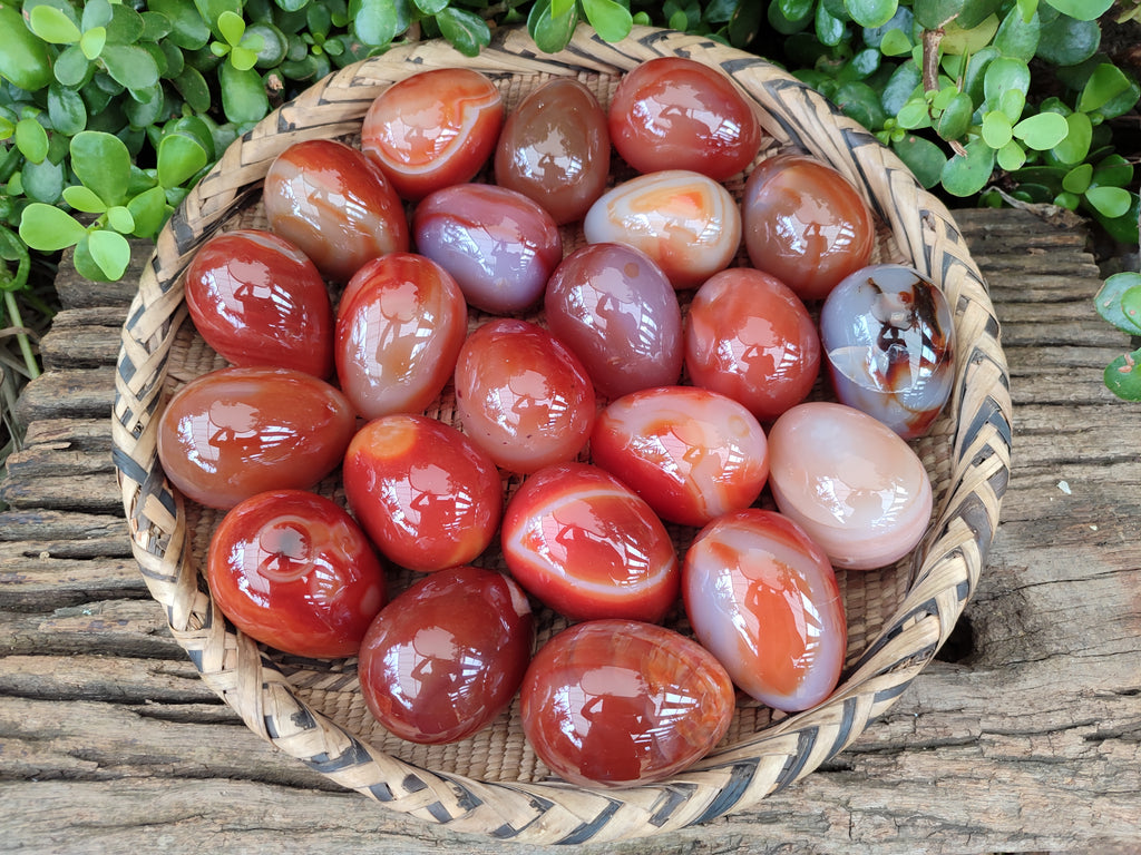 Polished Red Agate Gemstone Eggs - Sold Per Item - From Brazil - Toprock Gemstones and Minerals 