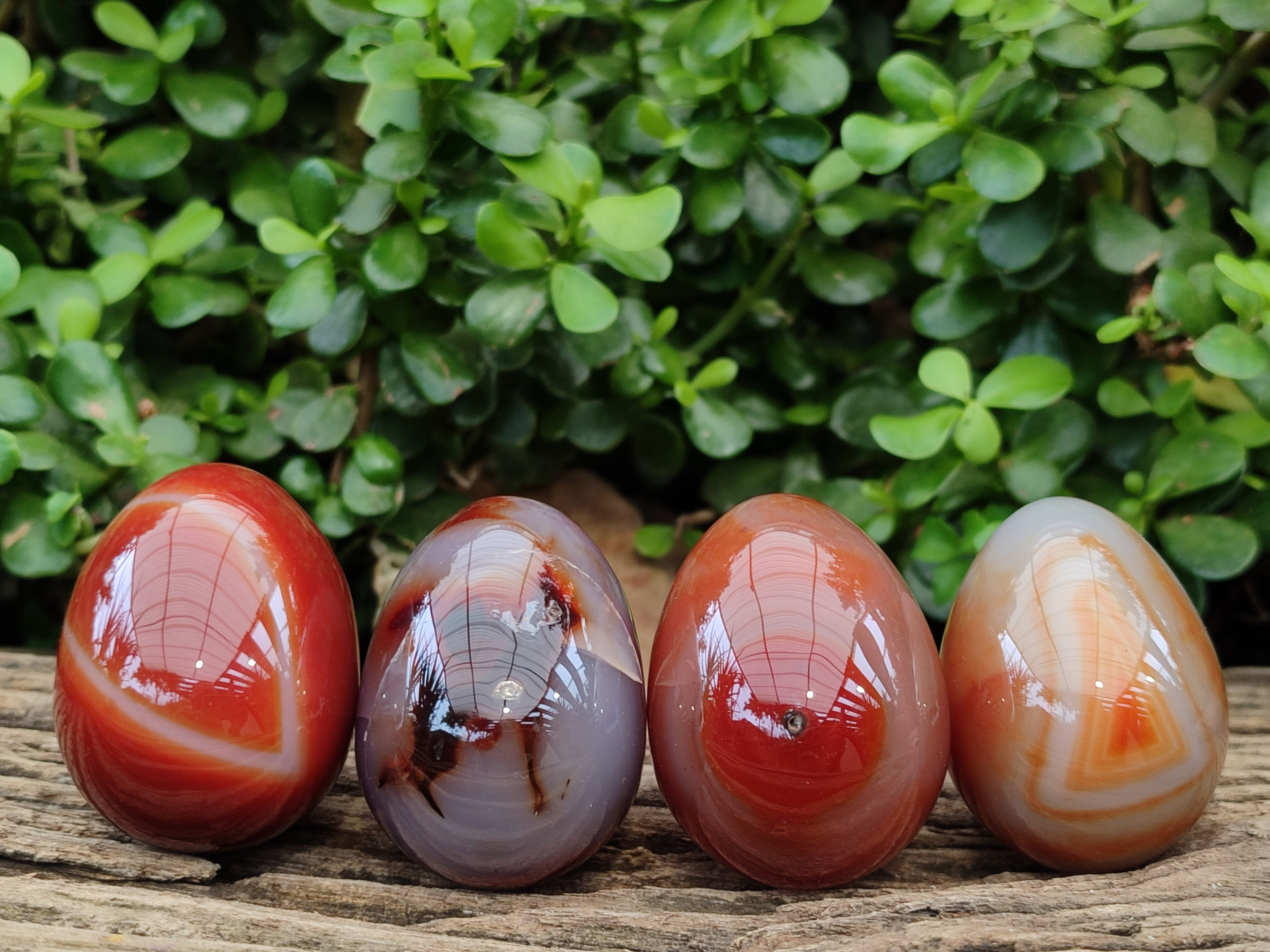 Polished Red Agate Gemstone Eggs - Sold Per Item - From Brazil - Toprock Gemstones and Minerals 