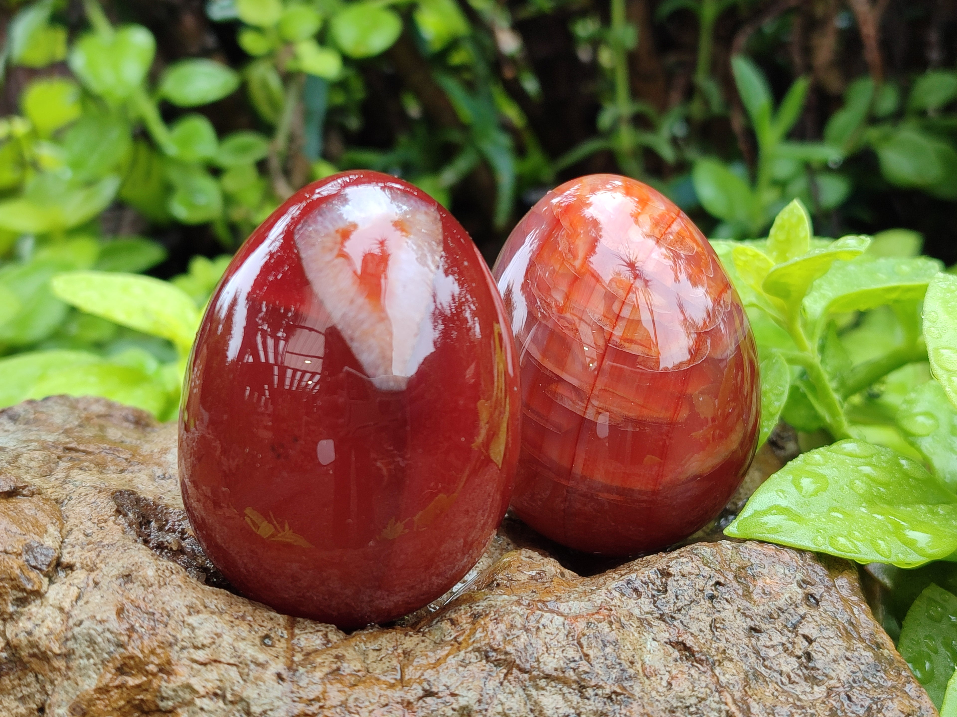 Polished Red Agate Gemstone Eggs - Sold Per Item - From Brazil - Toprock Gemstones and Minerals 