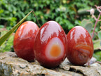 Polished Red Agate Gemstone Eggs - Sold Per Item - From Brazil - Toprock Gemstones and Minerals 