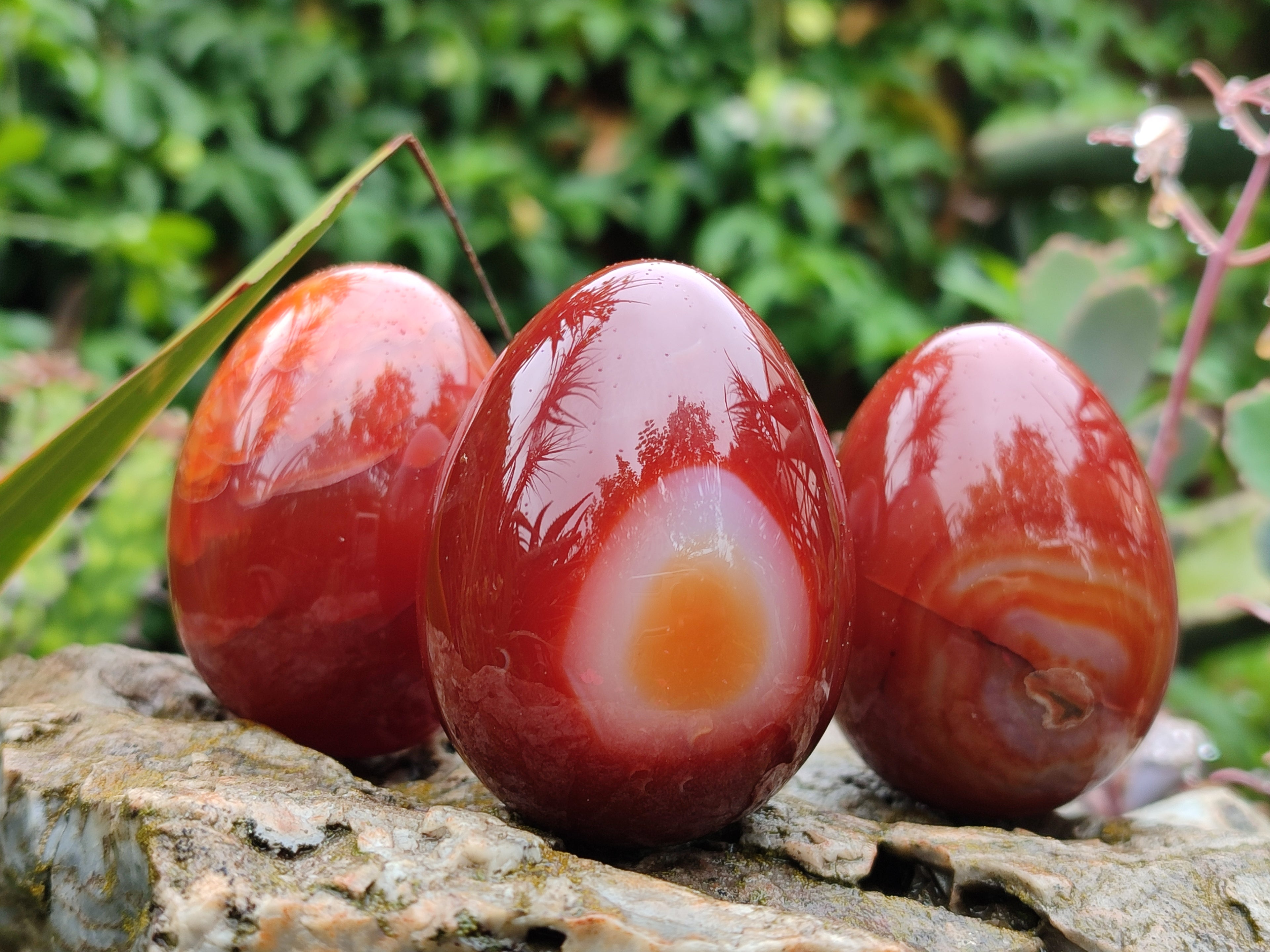 Polished Red Agate Gemstone Eggs - Sold Per Item - From Brazil - Toprock Gemstones and Minerals 