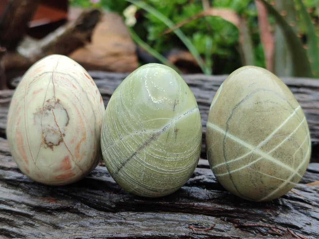 Polished African Banded Butter Jade Eggs - Sold Per Item - From Bronkhorstspruit, South Africa - Toprock Gemstones and Minerals 